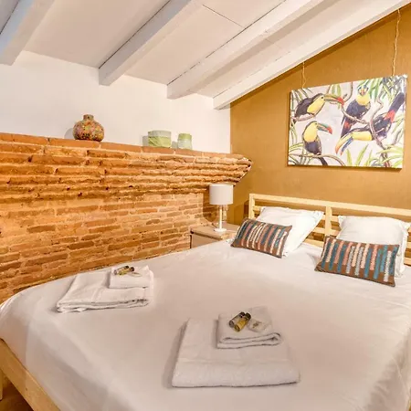 Appartement Theatre Opera Hyper Centre Toulouse