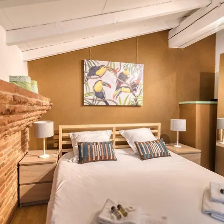 Appartement Theatre Opera Hyper Centre Toulouse