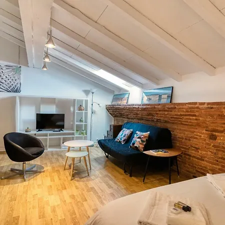 Apartment Theatre Opera Hyper Centre Toulouse
