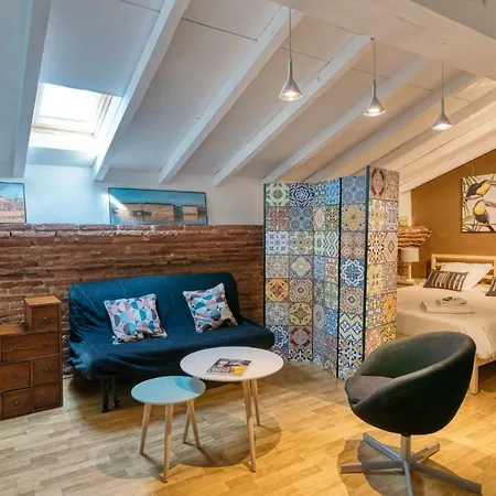 Appartement Theatre Opera Hyper Centre Toulouse